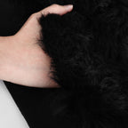 Muskox