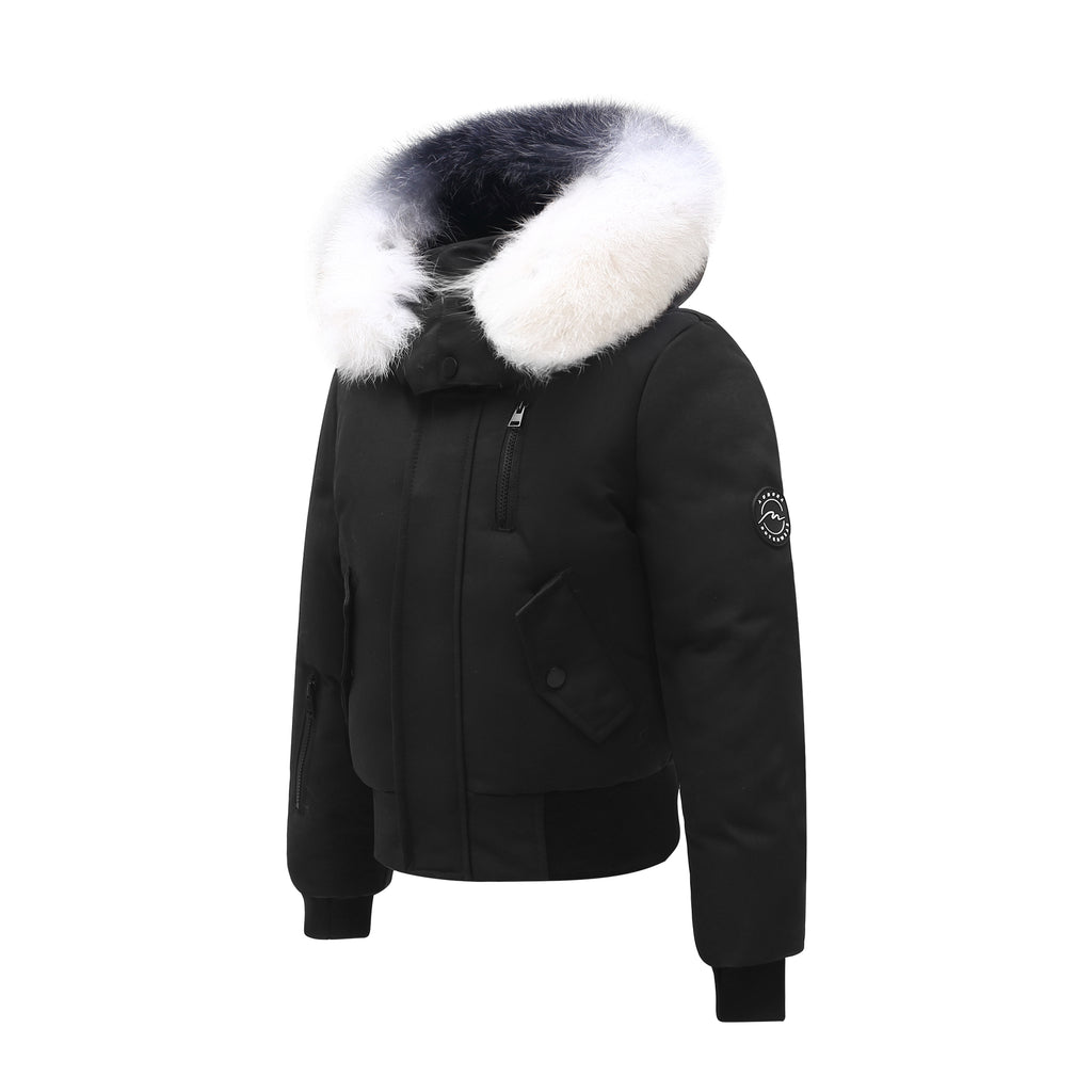 Snow Fox