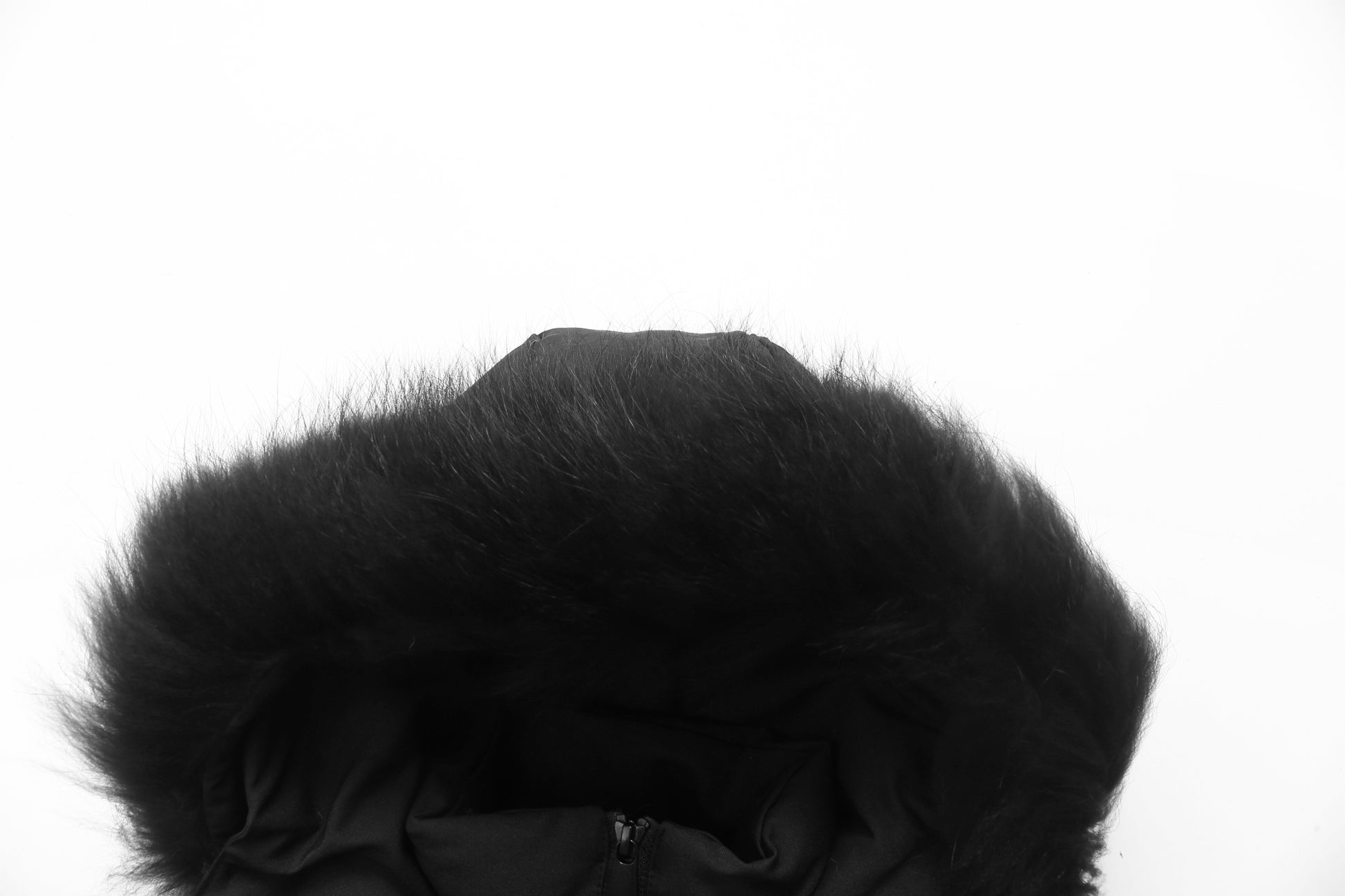 Snow Fox