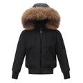 Snow Fox